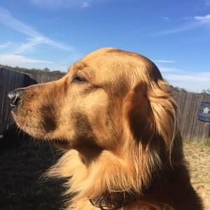 Meet your Posher, Scott